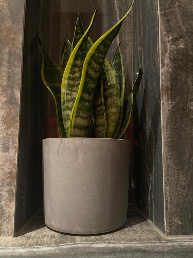 Mangio Dubrovnik Silver Luaran gambar